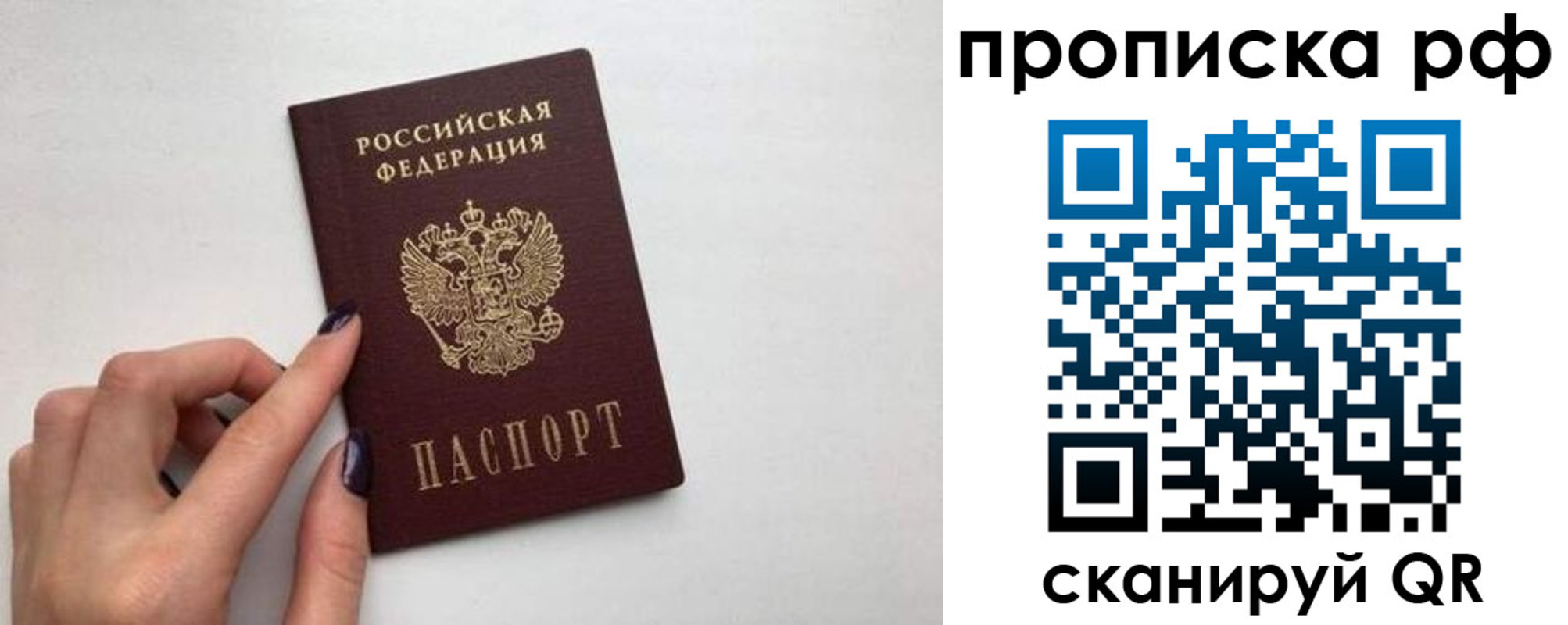 прописка в квартире в Калининградской области